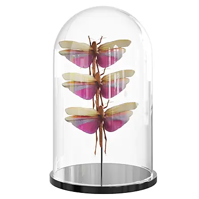 Grasshoppers Loft-Concept
