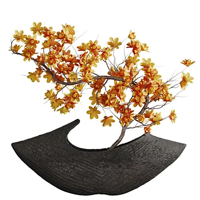Indoor plant  0150