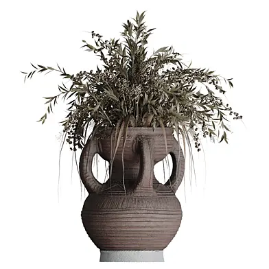Indoor plant  0154