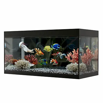 Aquarium