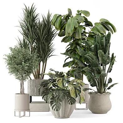 Indoor Plants in Ferm Living Bau Pot Large_Set 4304
