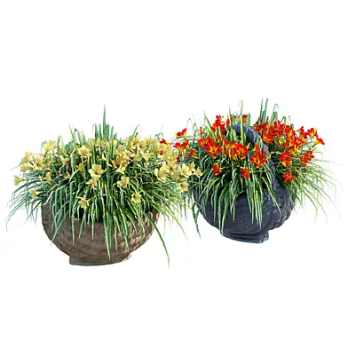 Fleur Basket Planter