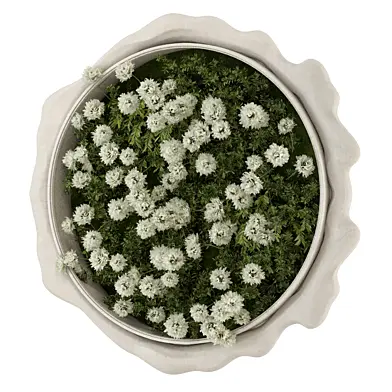 Wall Garden In Circle Papier Mache Base_Set 4311