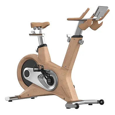 DHZ S-300 Exercise bike ECO