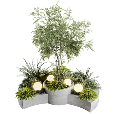 Outdoor Plants06