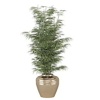 indoor Plants Collection 2540