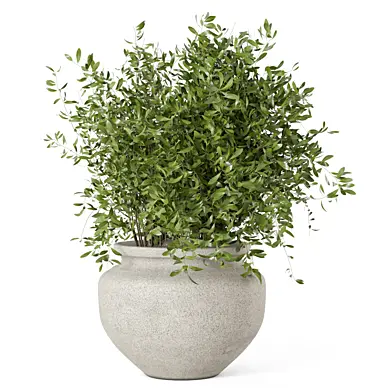 Indoor Plants Minimal Pot_Set 4327