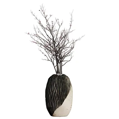 Indoor plant 0161