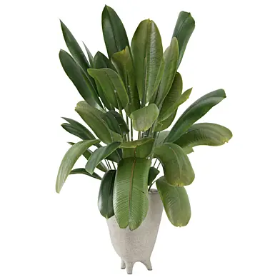 Indoor Plant in Minimal Pot_Set 4330