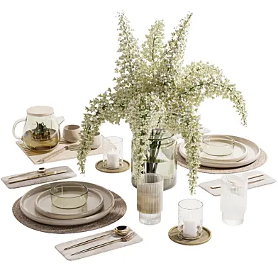 Table setting-H78