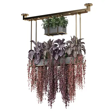 indoor hanging plants in metal box 2559