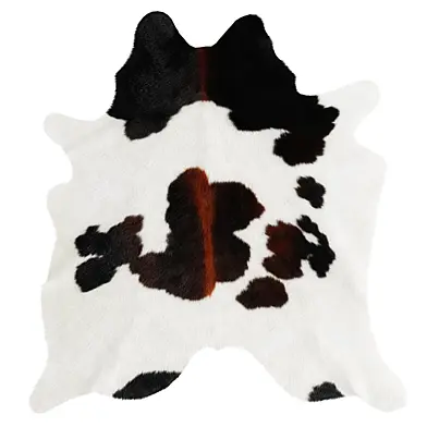 Chocolate and White Cowhide Rug