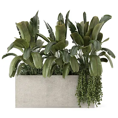 Outdoor Plants in Terrazzo Pot_Set 4366