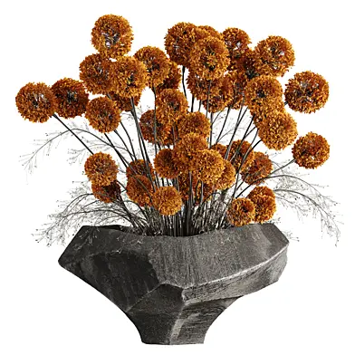 Indoor plant  184