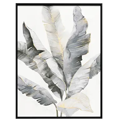 Постер Strelitzia 120x90