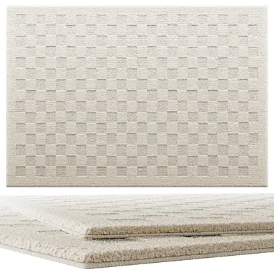 Abram Checkered High Low Area Rug
