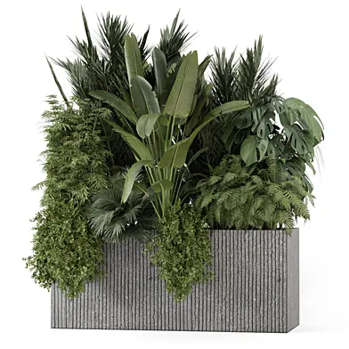 Outdoor Plants Minimal Stone Pot_Set 4409
