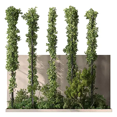 Garden Plants - Outdoor Plants 748
