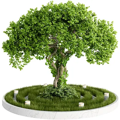 Courtyard Garden with Tree and Green Grass 467