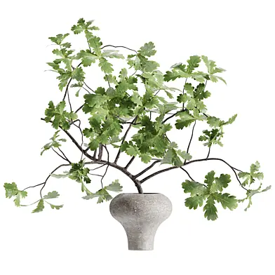Branch Bouquet in a Clay Pot 119