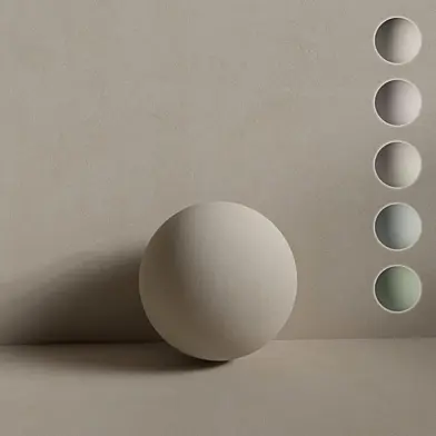 Decorative Plaster 1020