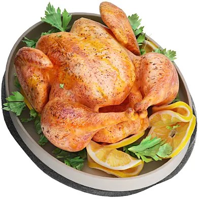 plate of chicken