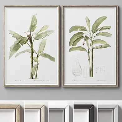 Picture Frames Set -662
