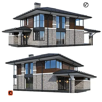 Modern house V155