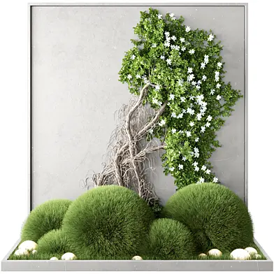Plant Collection Set 471