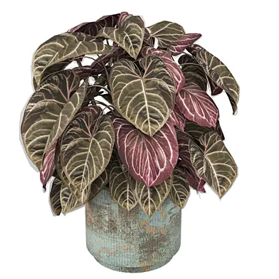 indoor Plants Collection 2613