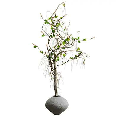 Minimal indoor plant in Vase 013