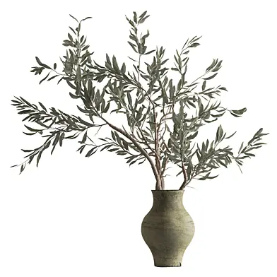 Olive Branch - Bouquet Set 250