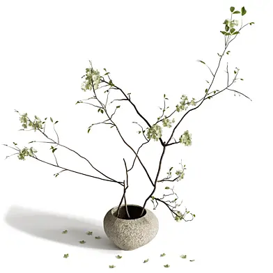 plants bouquet 047