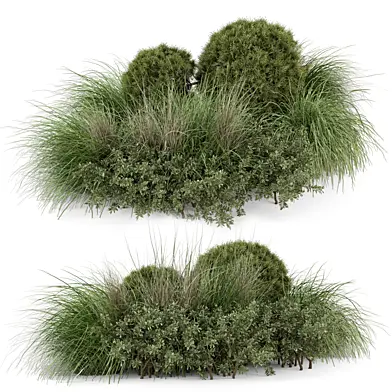 Outdoor Plants Bush Collection_Set 4455