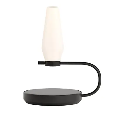 Iggy lamp by Flying Objects