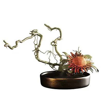 Plants Set 383
