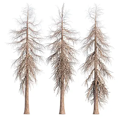 Dead Pine Trees Vol 398