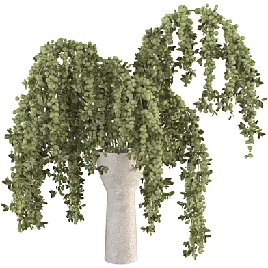 Beouquet of Branches in Vase