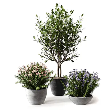 Plants Collection Set Shrub and Flowers 493