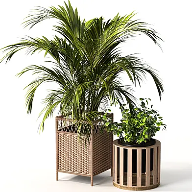 Boho Pot Plant 17
