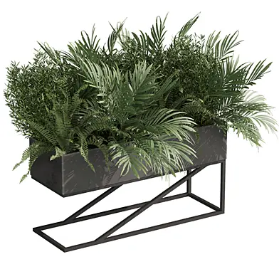 plant vol 1072 - palm - fern - bush - box
