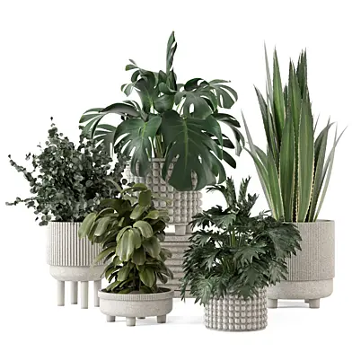 Plants Standing Legs Small Bowl Pot_Set 4476