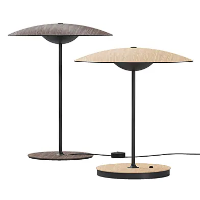 LED Ginger table