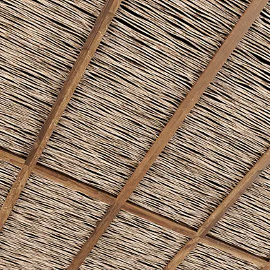 Beam ceiling n11