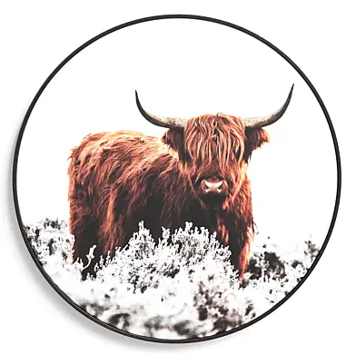 Wall Painting of the Helmet Highlander