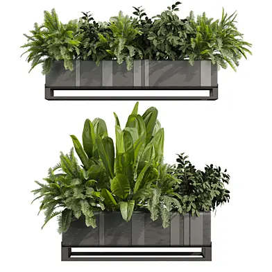 plant vol 1071 - fern - bush - banana