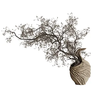 Indoor plant 217