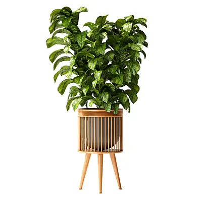 boho pot plants 20