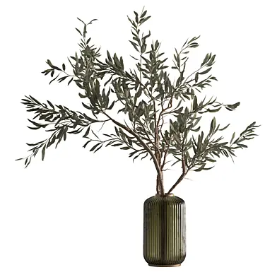 Bouquet - Olive Branch 261