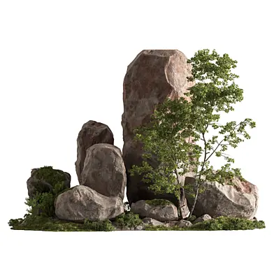 Rock Surface and Plants 17
